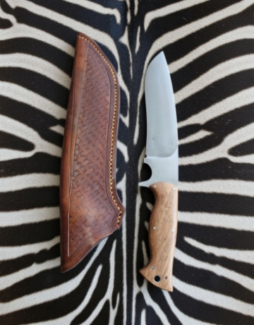 Hunter 7